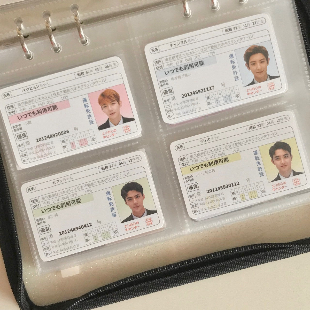 DRIVER LICENSE CARD (EXO)